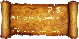 Pellegrini Bagamér névjegykártya